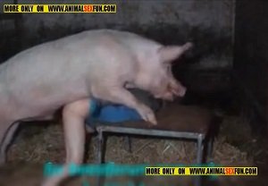 Толстый свинья отымел мужика в жопу
