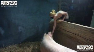 Зоо порно, как свинья трахает девушку и кончает в пизду