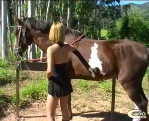 Опытная девушка трахается с могучим конем